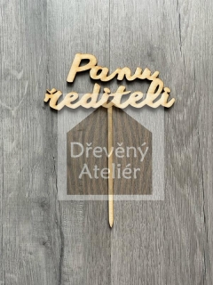 Panu řediteli